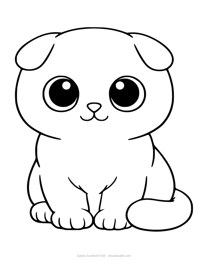 Gatito Scottish Fold para colorear con las orejas dobladas y la cabeza muy redonda