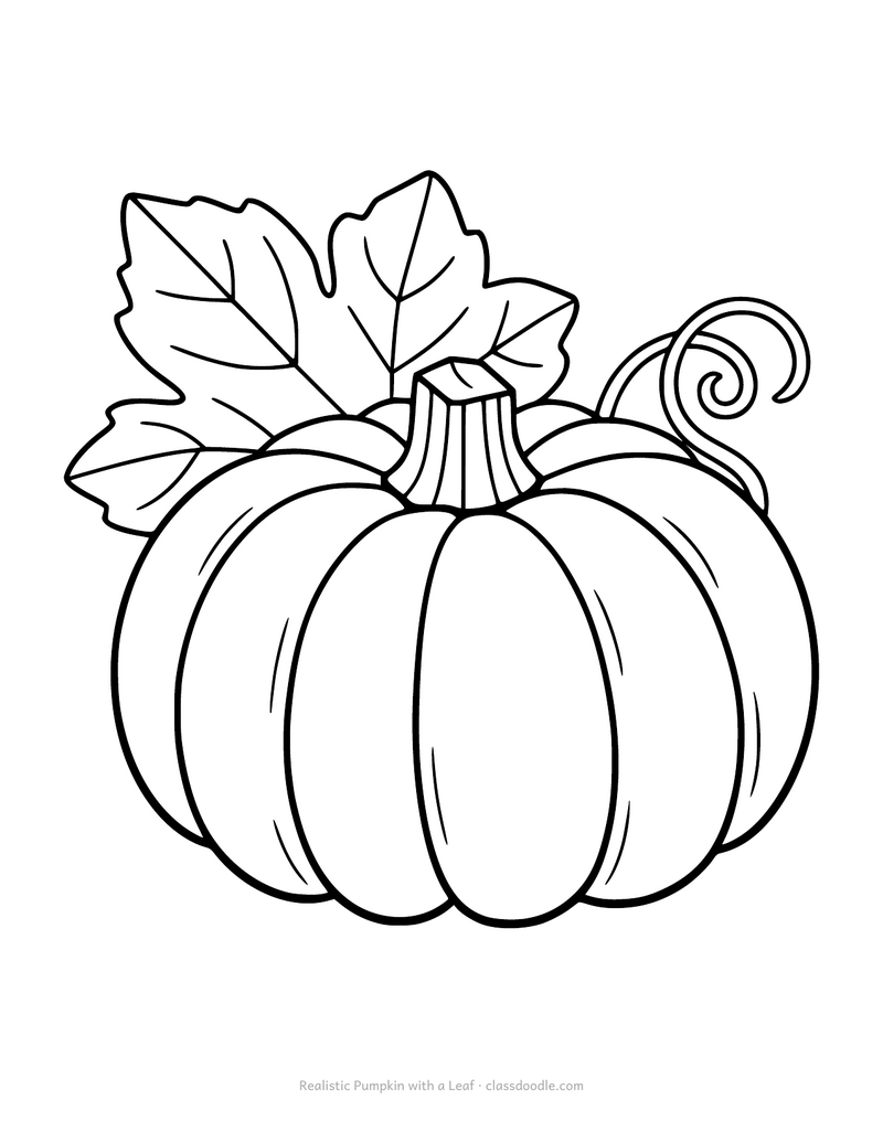 Realistic pumpkin coloring page with deep ribs, a woody stalk and a veined leaf